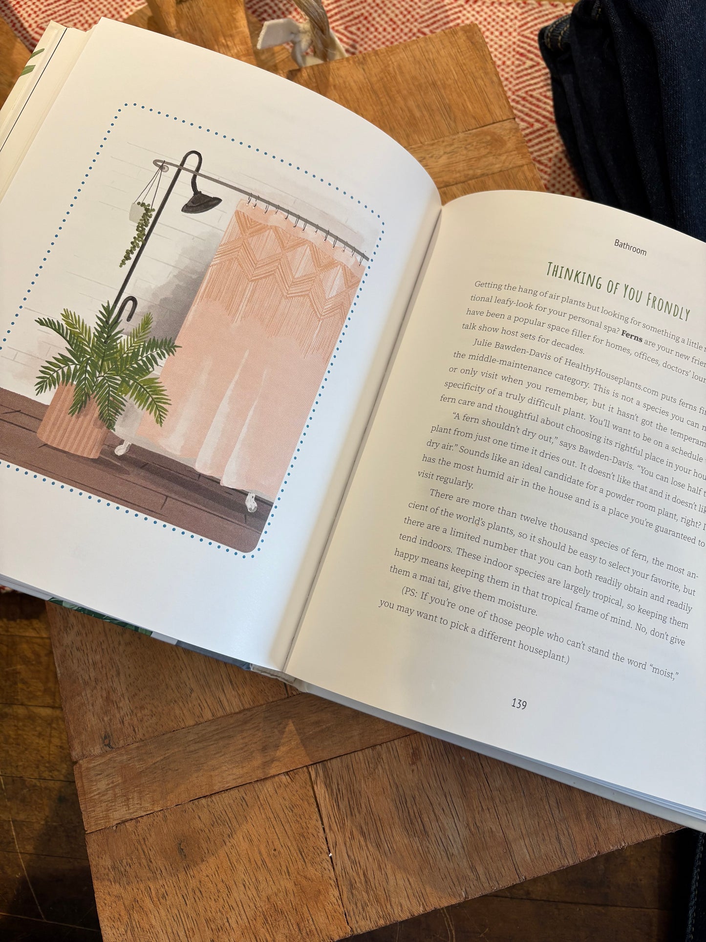 Never Put a Cactus in the Bathroom: Room by Room Guide to Houseplants