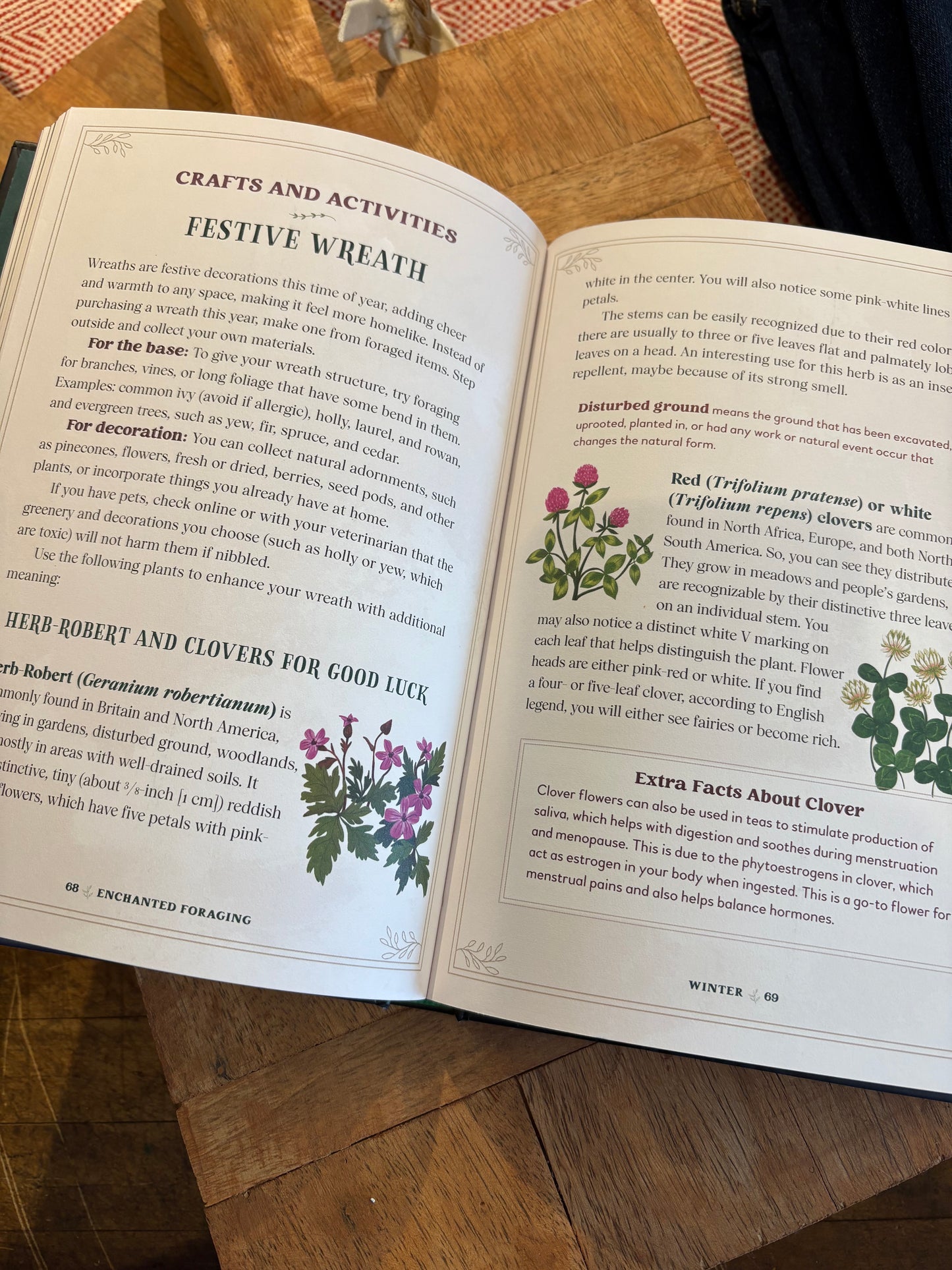 Enchanted Foraging: Wildcrafting For Herbal Remedies