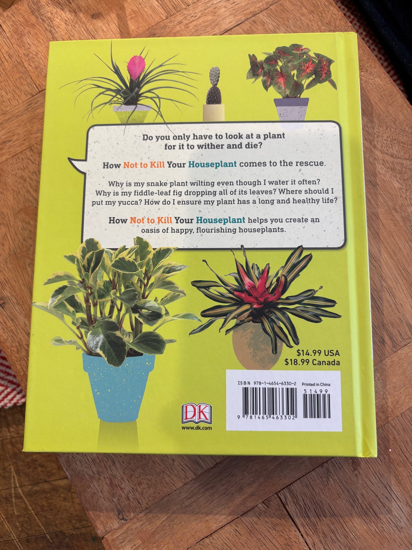 Hot Not To Kill Your Houseplant: A Survival Guide