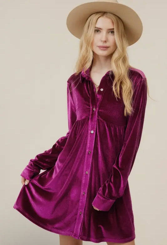 Button Down Velvet Mini Dress