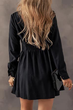 Cinched Waist Long Sleeve Mini Dress