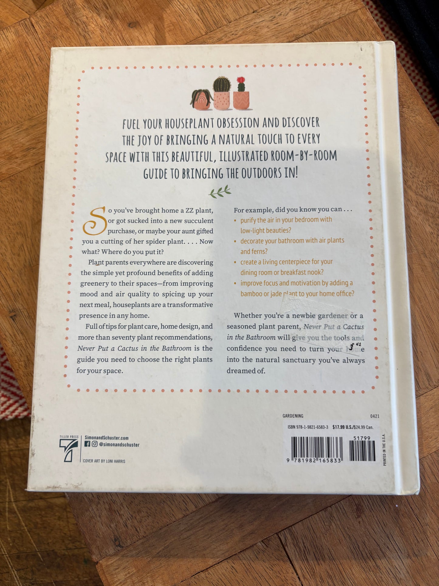 Never Put a Cactus in the Bathroom: Room by Room Guide to Houseplants