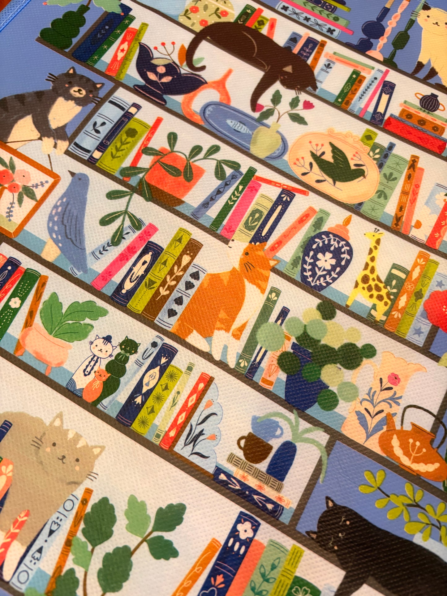 Reusable Shopping Tote
