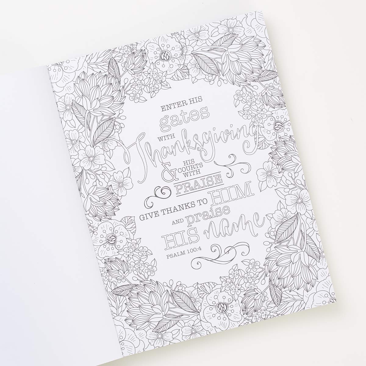 The Psalms in Color - Coloring Book