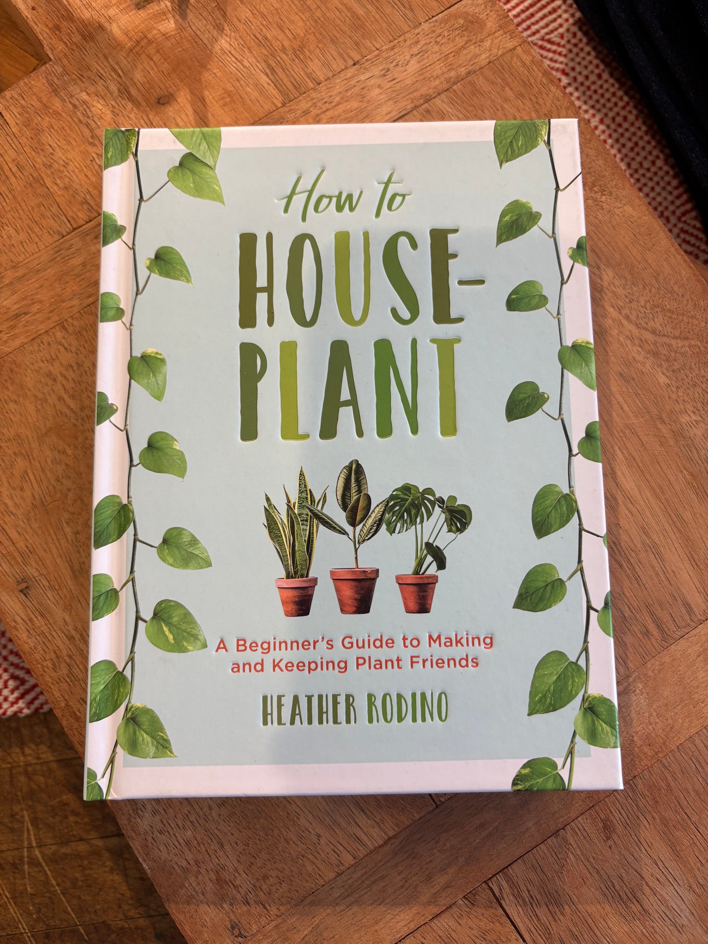 How To Houseplant: A Beginner's Guide