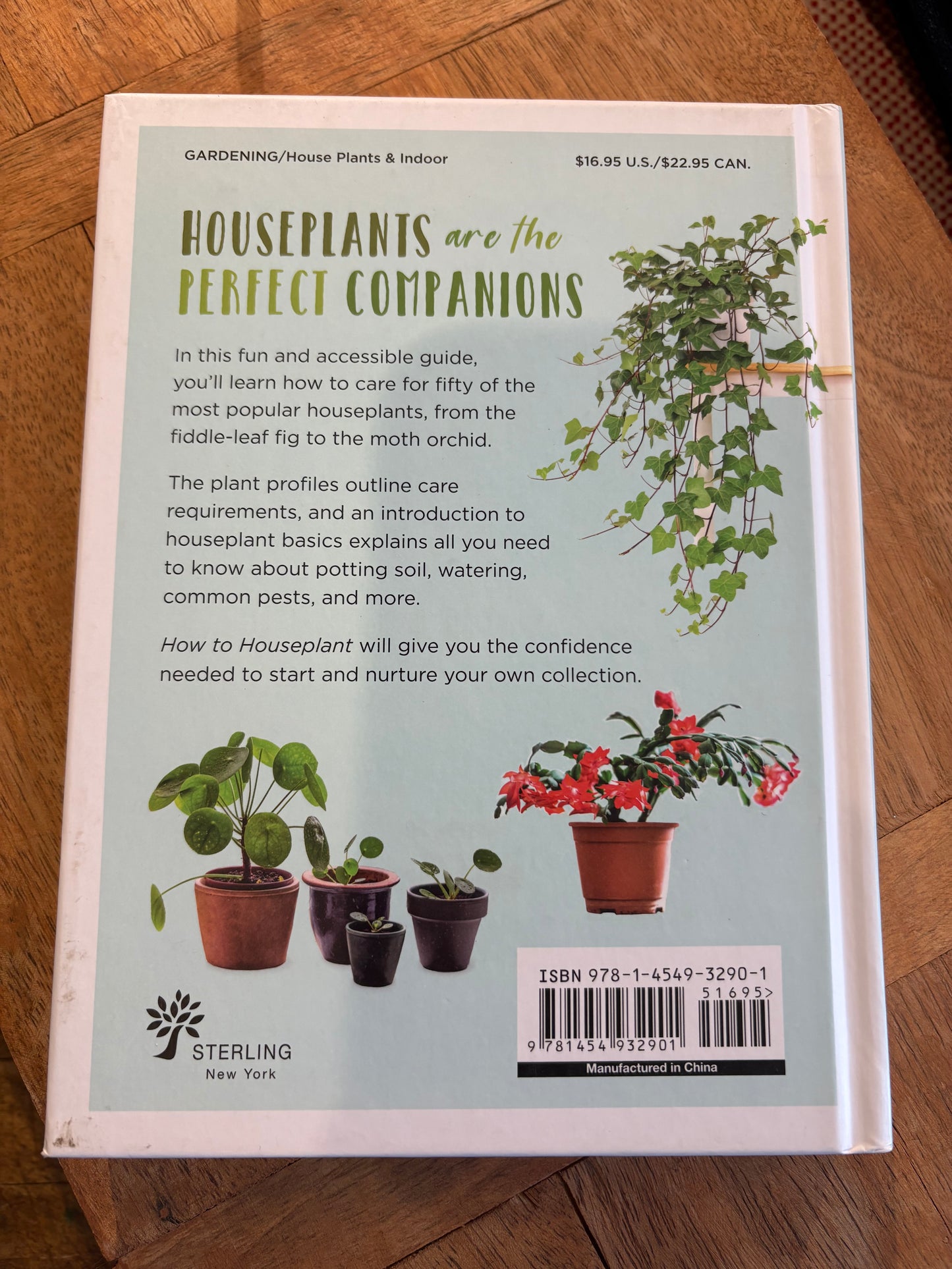 How To Houseplant: A Beginner's Guide