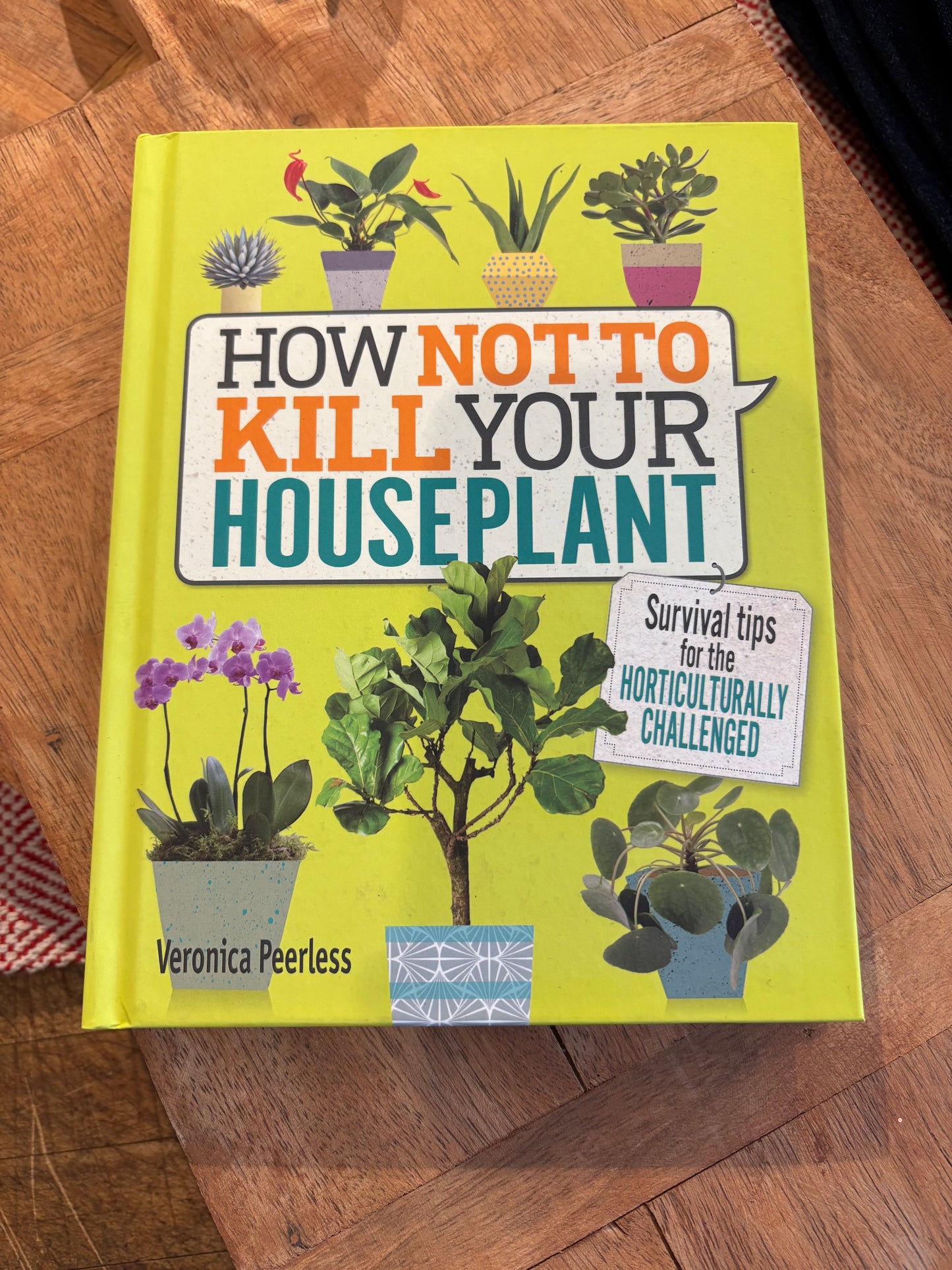 Hot Not To Kill Your Houseplant: A Survival Guide