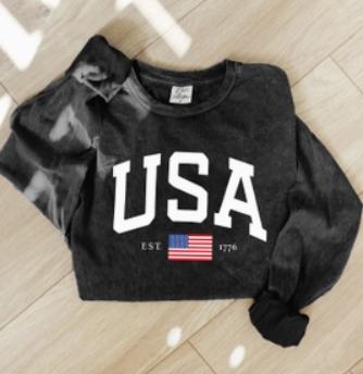 USA Mineral Washed Long Sleeve Graphic