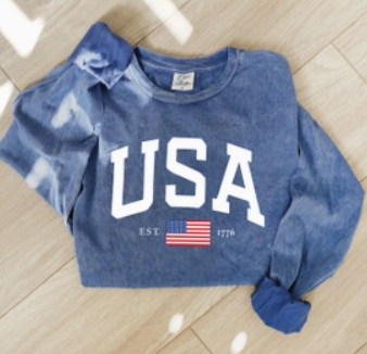 USA Mineral Washed Long Sleeve Graphic