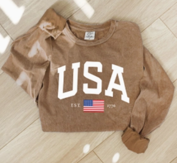 USA Mineral Washed Long Sleeve Graphic